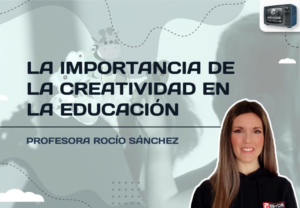 rocio sanchez articulo 14