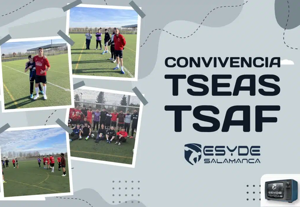 tseas tsaf 24