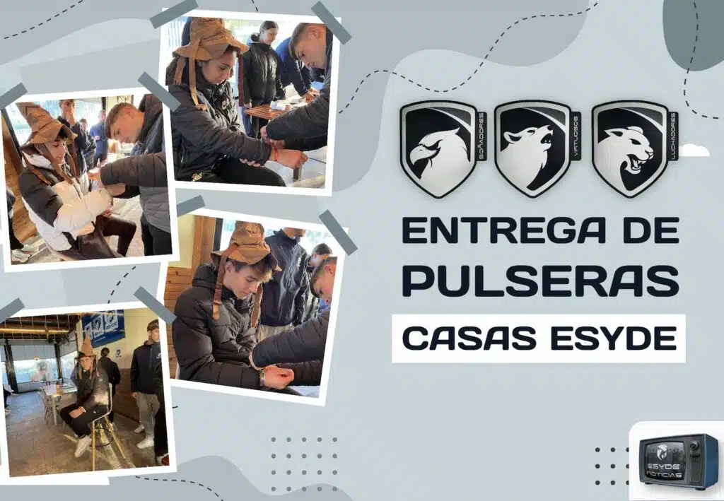 PULSERAS ESYDE 28