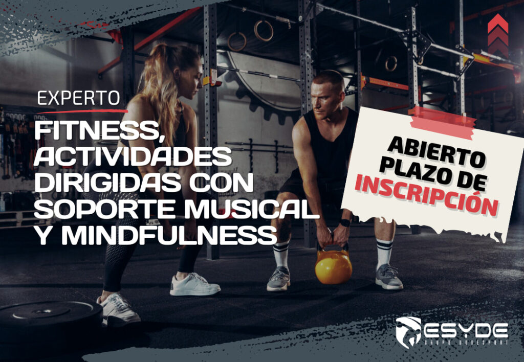 ESYDE blog Experto