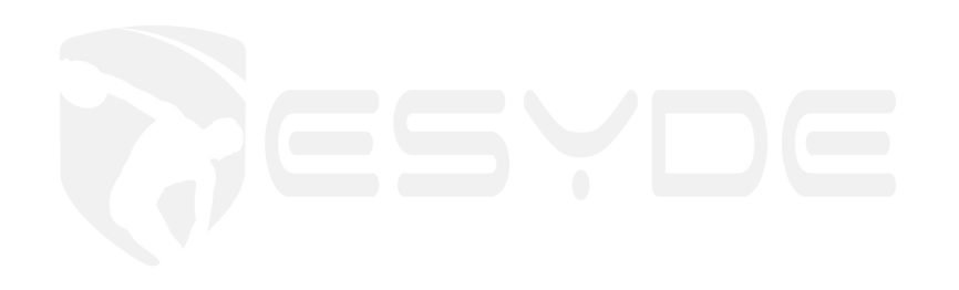 Logo Esyde