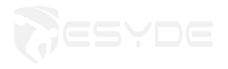 Logo Esyde