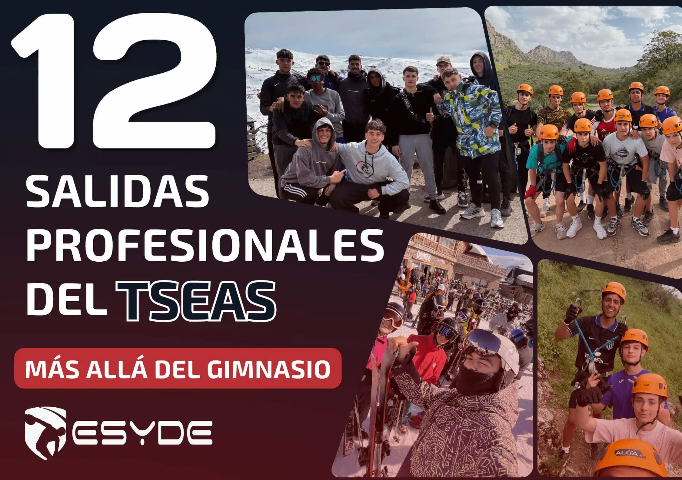 12 salidas profesionales del TSEAS